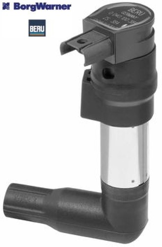 Borgwarner beru zs384 - beru,