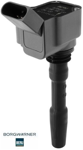 Borgwarner beru zse137 - beru,