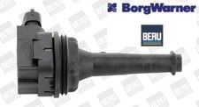 BorgWarner BERU ZSE019